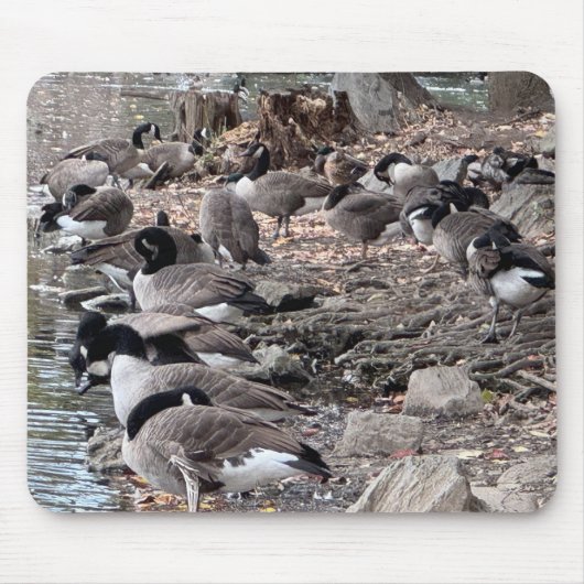 Tapis De Souris Geese in the Park Mouse Pad (Devant)