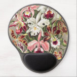 Tapis De Souris Gel Orchidées, Orchidées Denusblumen par Ernst Haeckel<br><div class="desc">Orchidées,  Orchidées Denusblumen par Ernst Haeckel Mouse Pad</div>