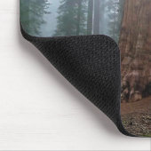 Tapis De Souris Général Sherman Tree, Sequoia, CA (Coin)