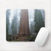 Tapis De Souris Général Sherman Tree, Sequoia, CA (Avec souris)