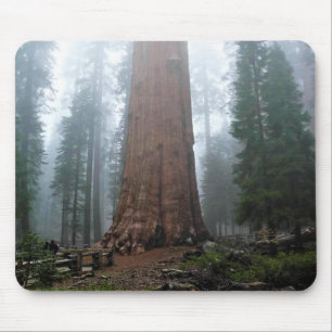 Tapis De Souris Général Sherman Tree, Sequoia, CA