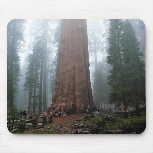 Tapis De Souris Général Sherman Tree, Sequoia, CA (Devant)