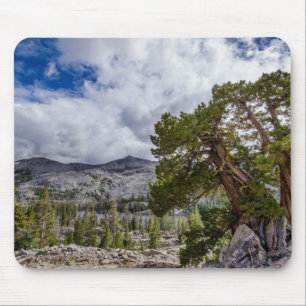Tapis De Souris Genévrier de la Sierra et arbres à feuilles persis