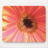 Tapis De Souris Gerbera Daisy Fleur Mousepad (Devant)