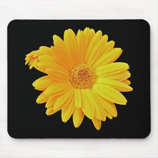 Tapis De Souris Gerbera Daisy (Gerbera hybrida) - Jaune (Devant)