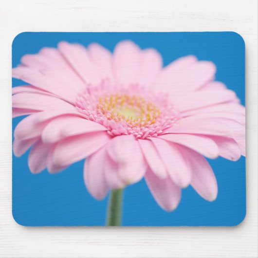 Tapis De Souris Gerbera rose Mousepad (Devant)