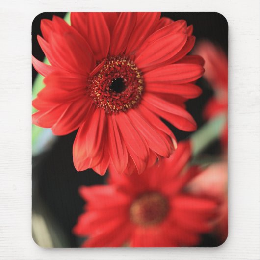 Tapis De Souris Gerberas (Devant)