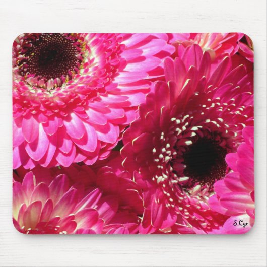 Tapis De Souris Gerberas roses (Devant)