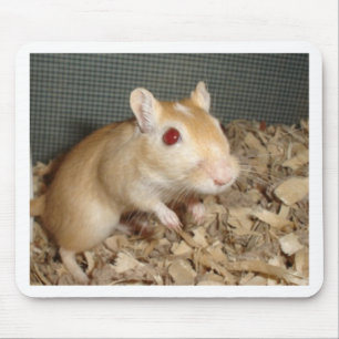 Tapis De Souris Gerbille mignonne