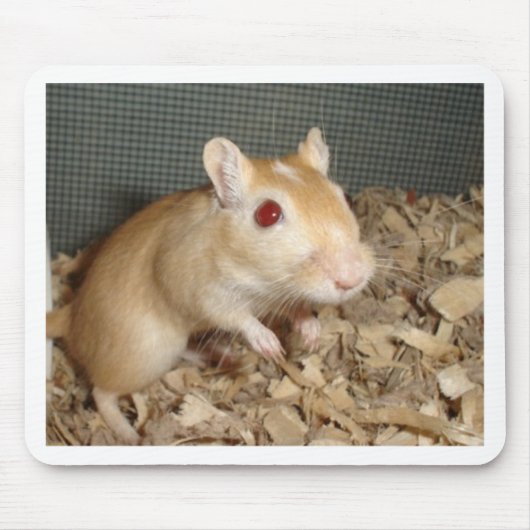 Tapis De Souris Gerbille mignonne (Devant)