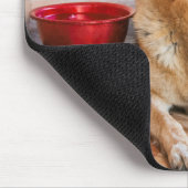 Tapis De Souris German Shepherd Resting (Coin)