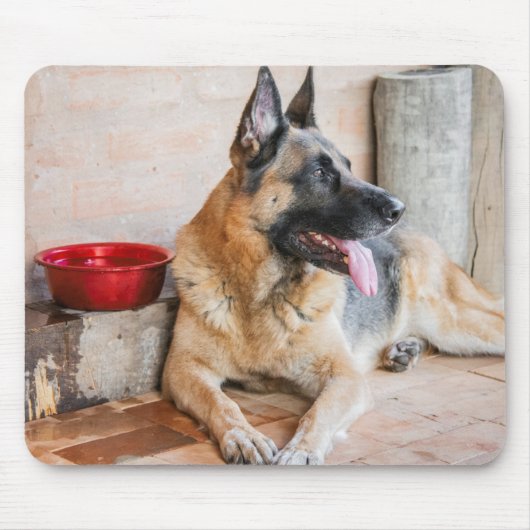 Tapis De Souris German Shepherd Resting (Devant)