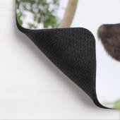 Tapis De Souris Gibbon Swing from Tree (Coin)