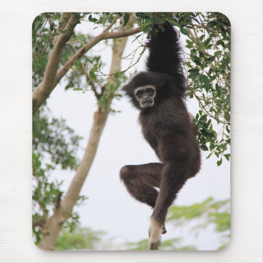 Tapis De Souris Gibbon Swing from Tree (Devant)