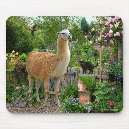 Tapis De Souris "Gigi le lama" Mousepad (Devant)