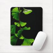 Tapis De Souris Ginkgo_Biloba_Leaves_-_Black_Background (Avec souris)