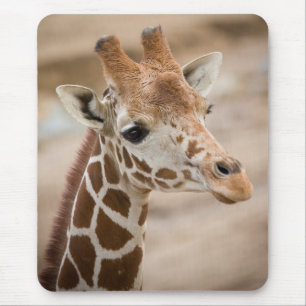 Tapis De Souris girafe