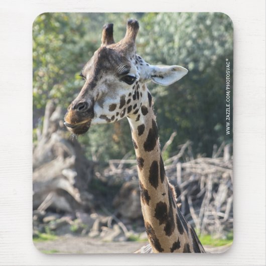 Tapis De Souris Girafe (Devant)