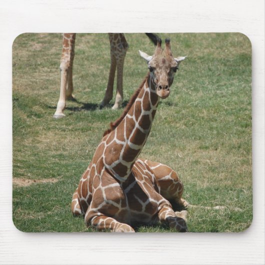 Tapis De Souris Girafe de bébé (Devant)
