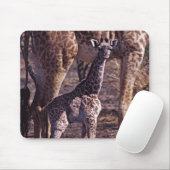 Tapis De Souris Girafe de bébé et mère, Tanzanie (Avec souris)