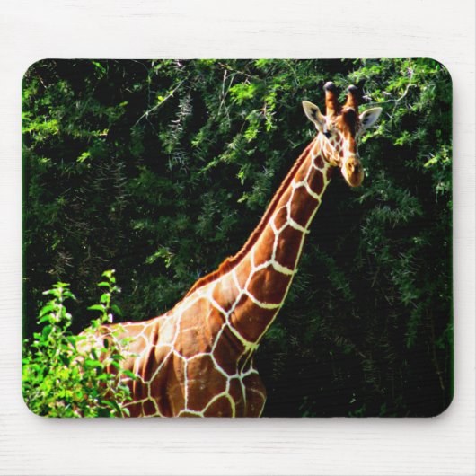 Tapis De Souris Girafe de Samburu (Devant)