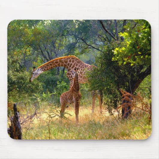Tapis De Souris Girafe et bébé Mousepad (Devant)