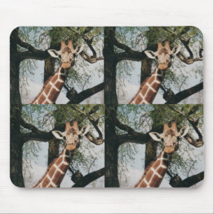 Tapis De Souris Girafe mignonne carrelée Mousepad