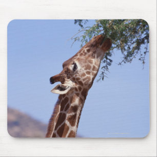 Tapis De Souris Girafe réticulée