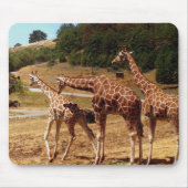 Tapis De Souris Girafes (Devant)
