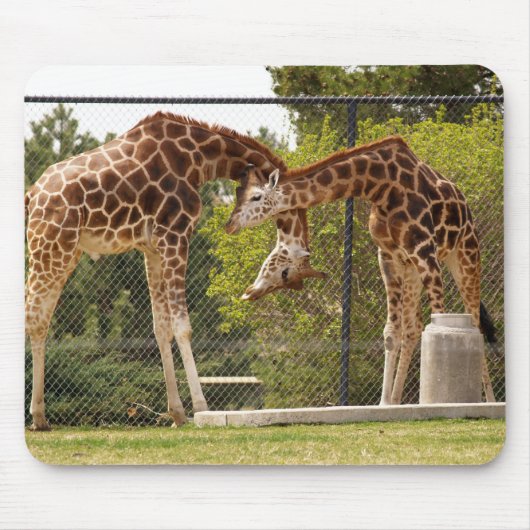 Tapis De Souris girafes de striction (Devant)