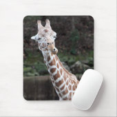 Tapis De Souris Giraffe (Avec souris)