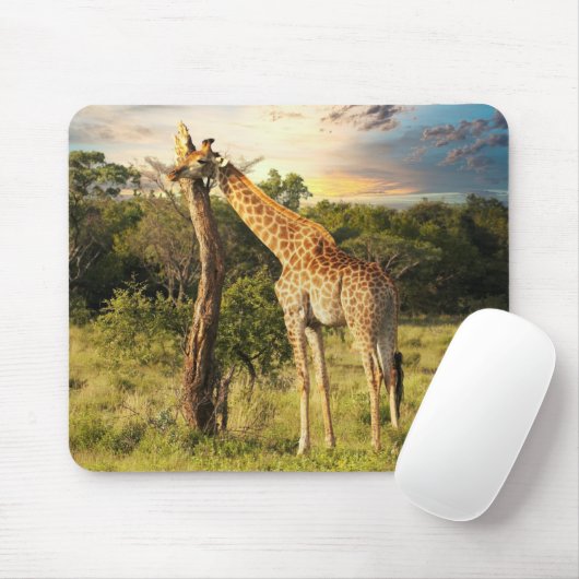 Tapis De Souris Giraffe (Avec souris)