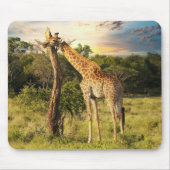 Tapis De Souris Giraffe (Devant)