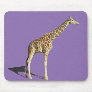 Tapis De Souris Giraffe