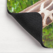 Tapis De Souris Giraffe Animal Portrait Photo (Coin)