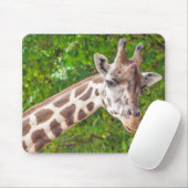 Tapis De Souris Giraffe Animal Portrait Photo (Avec souris)
