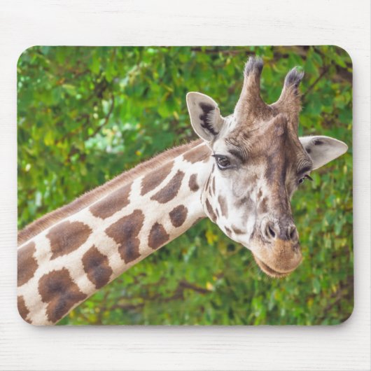 Tapis De Souris Giraffe Animal Portrait Photo (Devant)