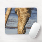 Tapis De Souris Giraffe (Giraffa Camelopardalis) eau potable (Avec souris)