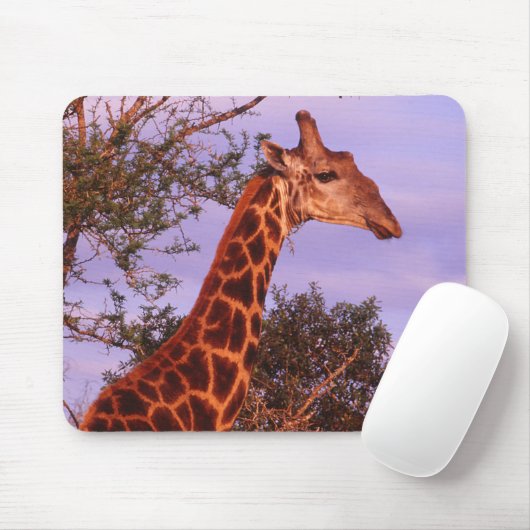 Tapis De Souris Giraffe Mousepad (Avec souris)
