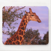 Tapis De Souris Giraffe Mousepad (Devant)