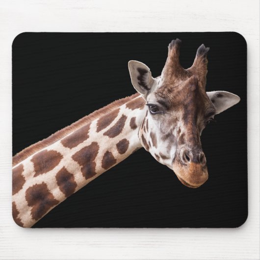 Tapis De Souris Giraffe Portrait Photo sur Black (Devant)