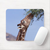 Tapis De Souris Giraffe réticulée (Avec souris)