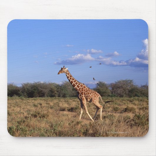 Tapis De Souris Giraffe réticulée 2 (Devant)