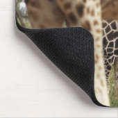 Tapis De Souris Giraffes 2 (Coin)