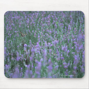 Tapis De Souris Gisement de lavande