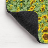 Tapis De Souris Gisement jaune de tournesol (Coin)