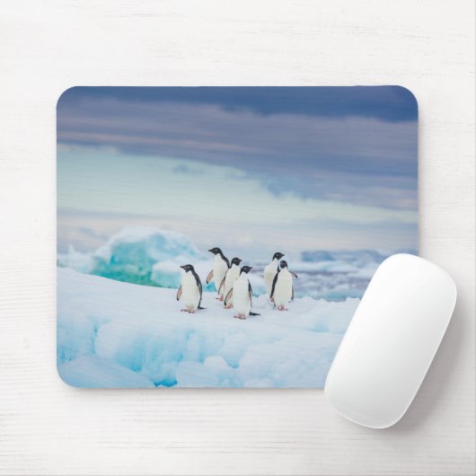 Tapis De Souris Glace et neige | Adelie Penguins Antarctique (Avec souris)
