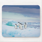 Tapis De Souris Glace et neige | Adelie Penguins Antarctique (Devant)