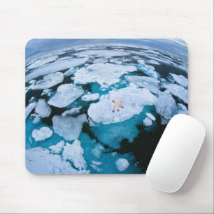 Tapis De Souris Glace et neige   Ours polaire, Océan Arctique, Sva