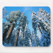 Tapis De Souris Glace et neige | Parc national de Sequoia, Califor (Devant)